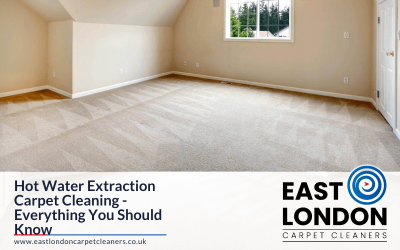 Hot Water Extraction Carpet Cleaning – Everything You Should Know