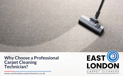 Why Choose a Professional Carpet Cleaning Technician?