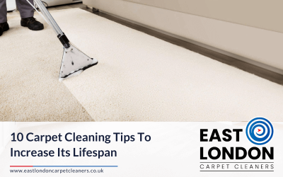 10 Carpet Cleaning Tips To Increase Its Lifespan