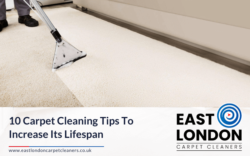 Carpet Cleaning Tips To Increase Its Lifespan