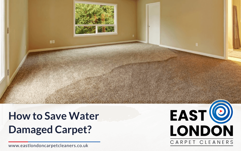 How to Save Water Damaged Carpet?