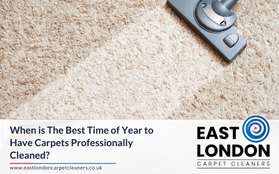 When is The Best Time of Year to Have Carpets Professionally Cleaned?